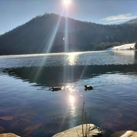Apartment Trefle D'argent Gerardmer